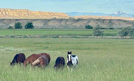 Farm and Ranch for sale in Big Horn County, Wyoming