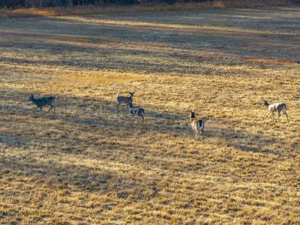 Farm and Ranch for sale in Fremont County, Wyoming