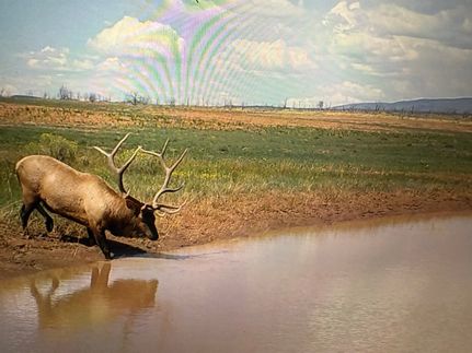 Undeveloped Land for sale in La Plata County, Colorado