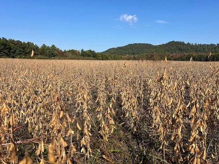 Hunting Property for sale in Clark County, Wisconsin