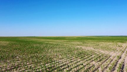 Farm and Ranch for sale in Hamilton County, Kansas