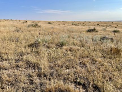 Farm and Ranch for sale in Elbert County, Colorado
