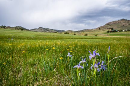 Undeveloped Land for sale in Larimer County, Colorado