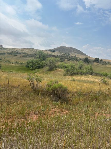 Land for sale in Larimer County, Colorado