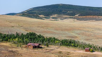 Farm and Ranch for sale in Larimer County, Colorado