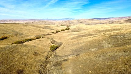 Undeveloped Land for sale in Washington County, Idaho