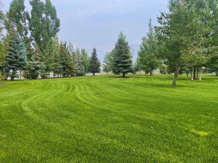 Undeveloped Land for sale in Custer County, Idaho