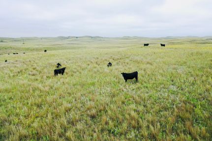 Land for sale in Custer County, Nebraska