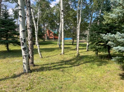 Lakefront Property for sale in Larimer County, Colorado