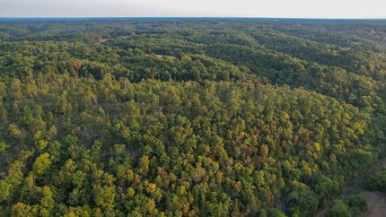 Timberland Property for sale in Stone County, Missouri