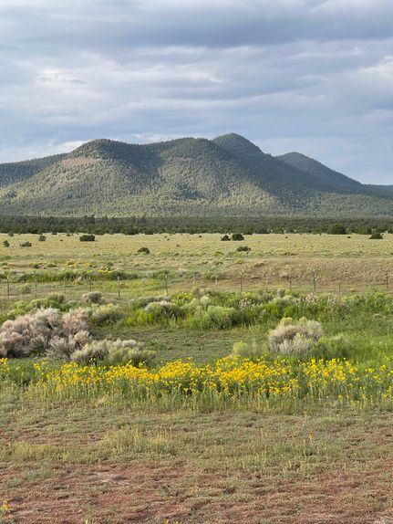 Timberland Property for sale in Catron County, New Mexico