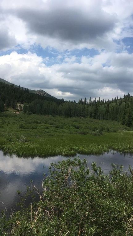Undeveloped Land for sale in Mono County, California