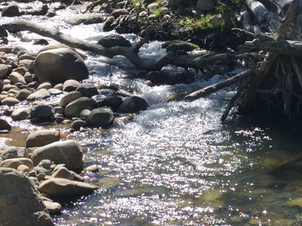 Lakefront Property for sale in Mono County, California