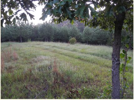 Farm and Ranch for sale in Bibb County, Alabama