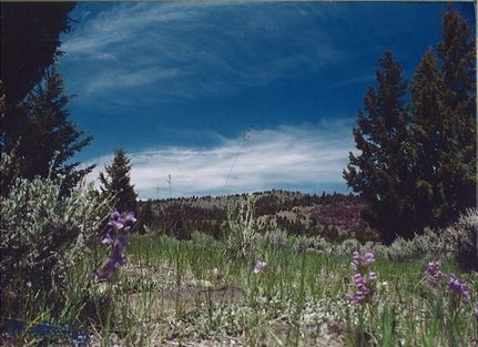 Farm and Ranch for sale in Silver Bow County, Montana
