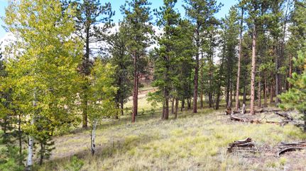 Farm and Ranch for sale in Teller County, Colorado