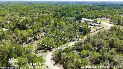 Timberland Property in Putnam County, Florida
