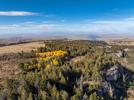 Timberland Property for sale in Big Horn County, Wyoming