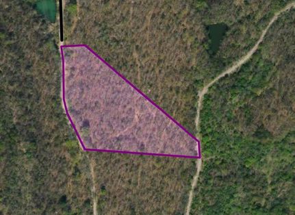 Undeveloped Land for sale in Campbell County, Tennessee