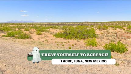 Undeveloped Land for sale in Luna County, New Mexico