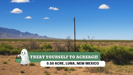 Undeveloped Land in Luna County, New Mexico