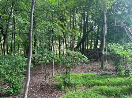 Undeveloped Land for sale in Westmoreland County, Pennsylvania