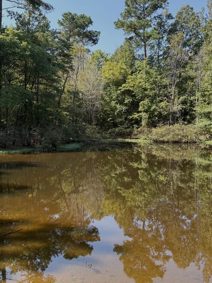 Timberland Property for sale in Choctaw County, Mississippi