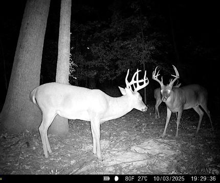 Farm and Ranch for sale in Phillips County, Arkansas