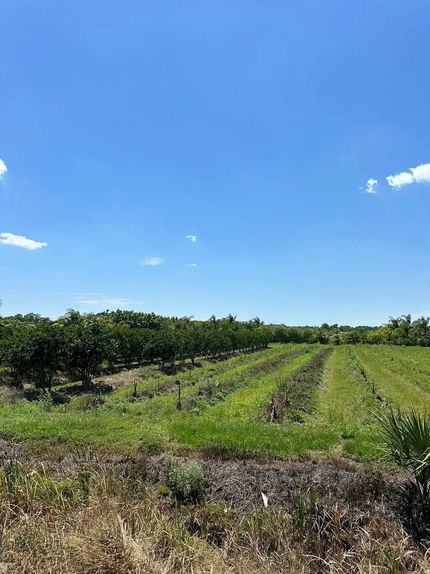 Farm and Ranch for sale in Seminole County, Florida