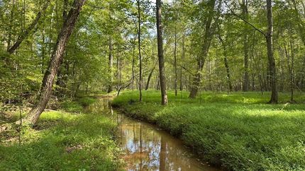 Undeveloped Land for sale in Elbert County, Georgia