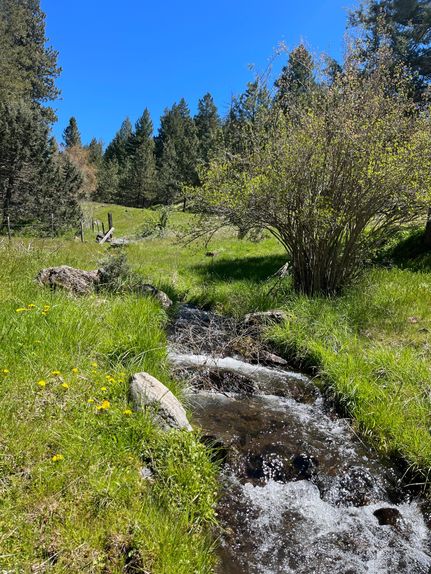 Undeveloped Land for sale in Grant County, Oregon