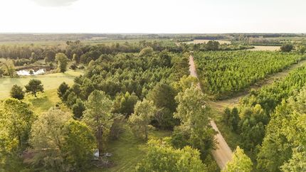 Undeveloped Land for sale in Burke County, Georgia
