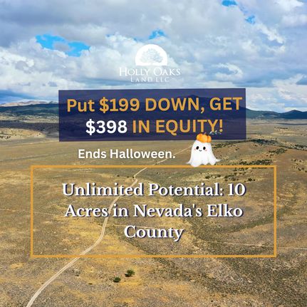 Undeveloped Land for sale in Elko County, Nevada