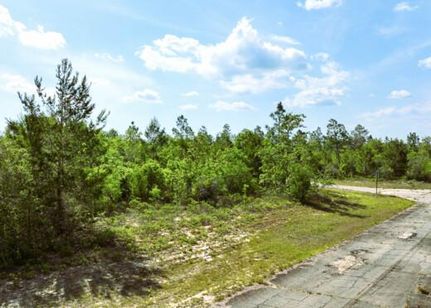 Land for sale in Washington County, Florida