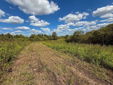 Undeveloped Land for sale in Nicholas County, Kentucky