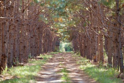 Farm and Ranch for sale in Hampton County, South Carolina