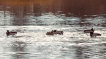Land in Pushmataha County, Oklahoma