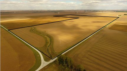 Undeveloped Land for sale in Douglas County, Illinois