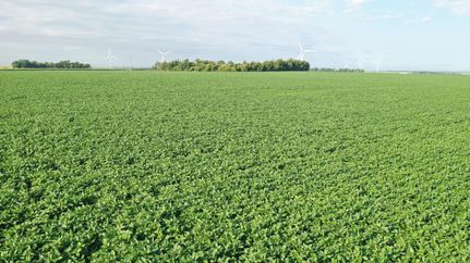 Undeveloped Land for sale in Lincoln County, Minnesota