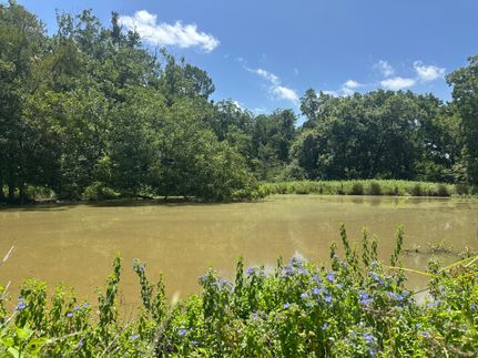 Hunting Property for sale in Leon County, Texas