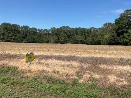 Land for sale in Crenshaw County, Alabama
