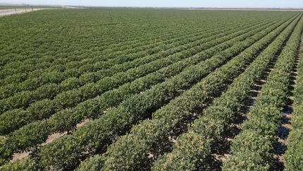 Farm and Ranch for sale in Merced County, California