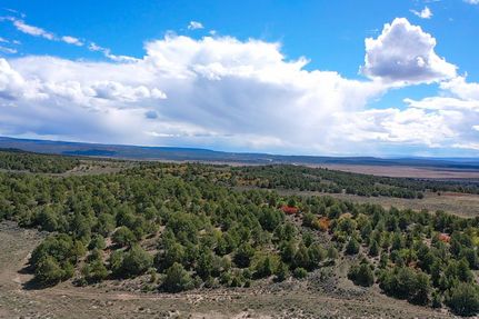 Farm and Ranch for sale in Rio Arriba County, New Mexico