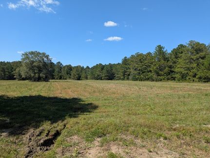 Undeveloped Land for sale in Twiggs County, Georgia