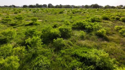 Farm and Ranch for sale in Young County, Texas