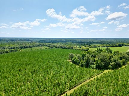 Farm and Ranch for sale in Randolph County, Georgia