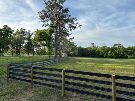 Undeveloped Land for sale in Marion County, Florida