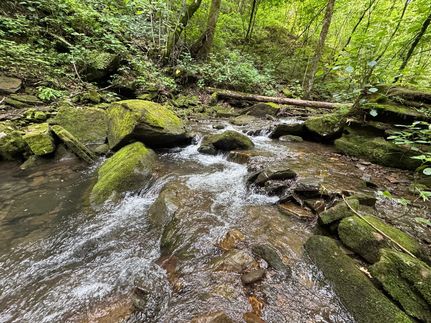 Farm and Ranch in Van Buren County, Arkansas