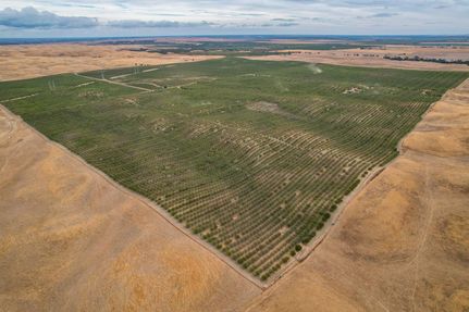 Land for sale in Yolo County, California