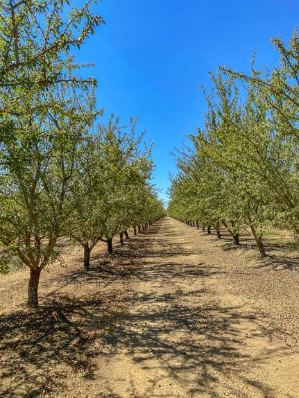 Farm and Ranch for sale in Glenn County, California